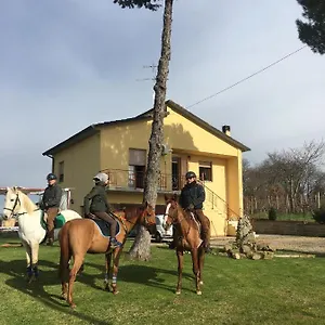 La Romantica , Ciggiano Italia